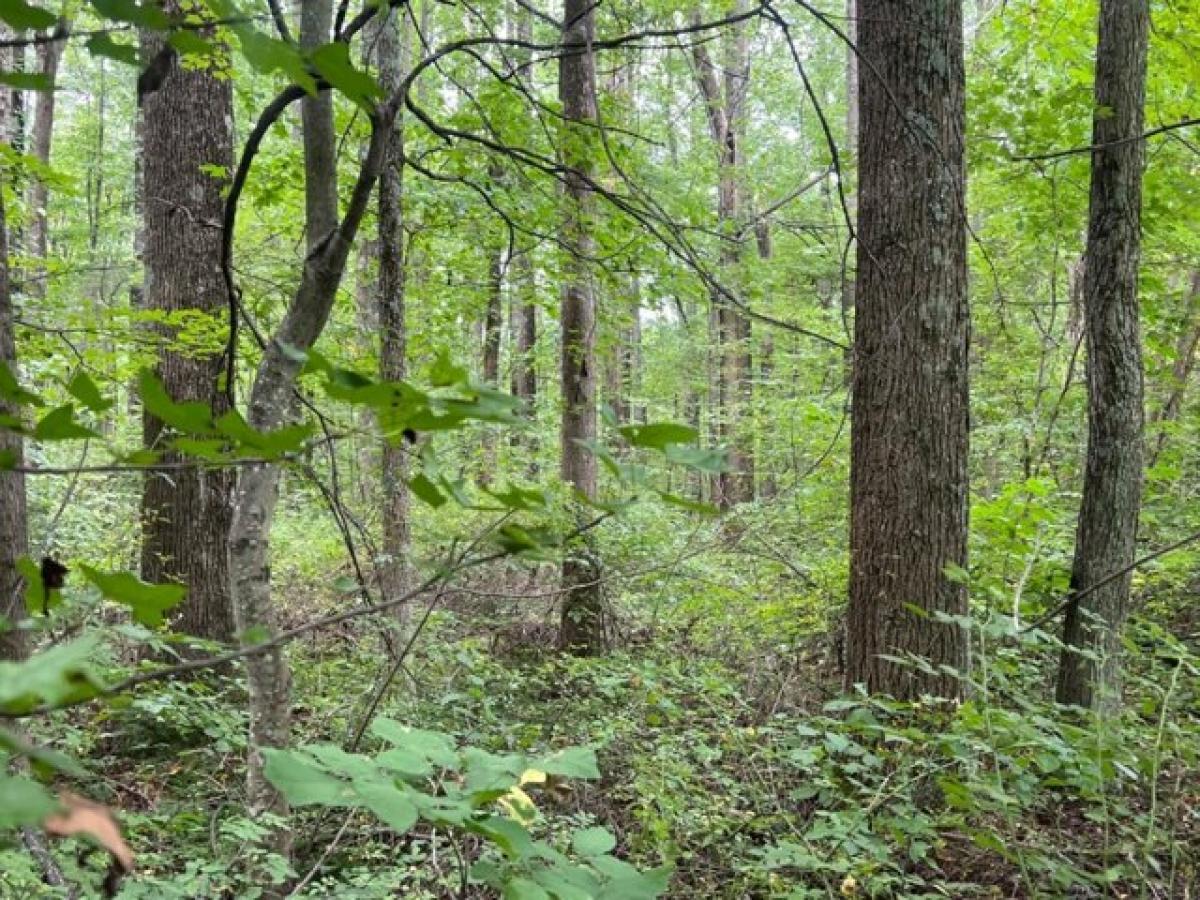 Picture of Home For Sale in Versailles, Indiana, United States