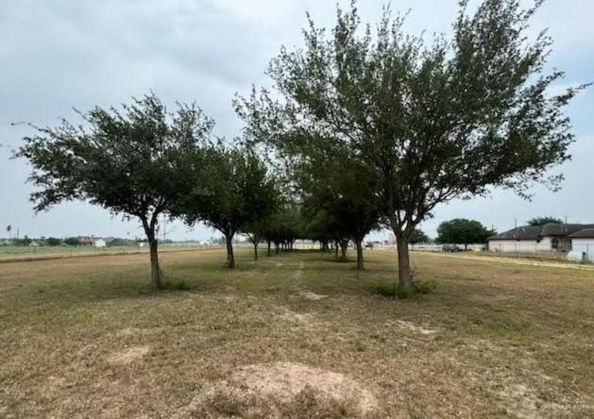 Picture of Residential Land For Sale in Mission, Texas, United States