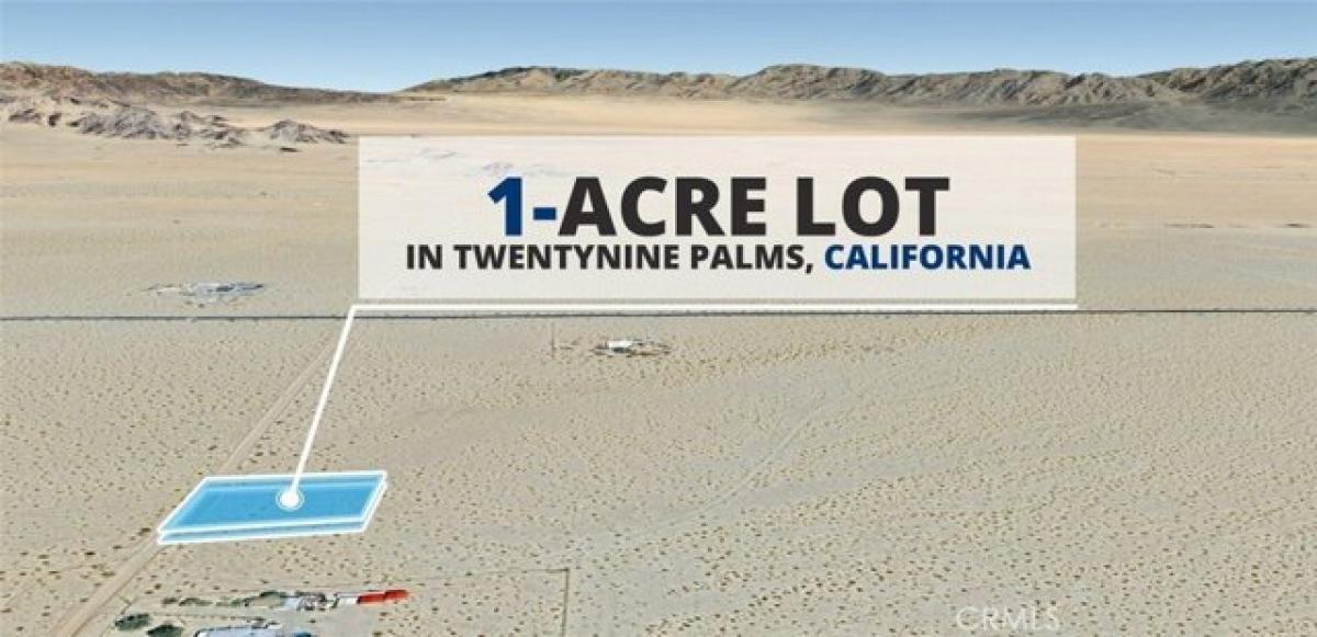 Picture of Residential Land For Rent in Twentynine Palms, California, United States