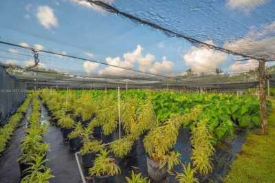 Residential Land For Sale in Homestead, Florida