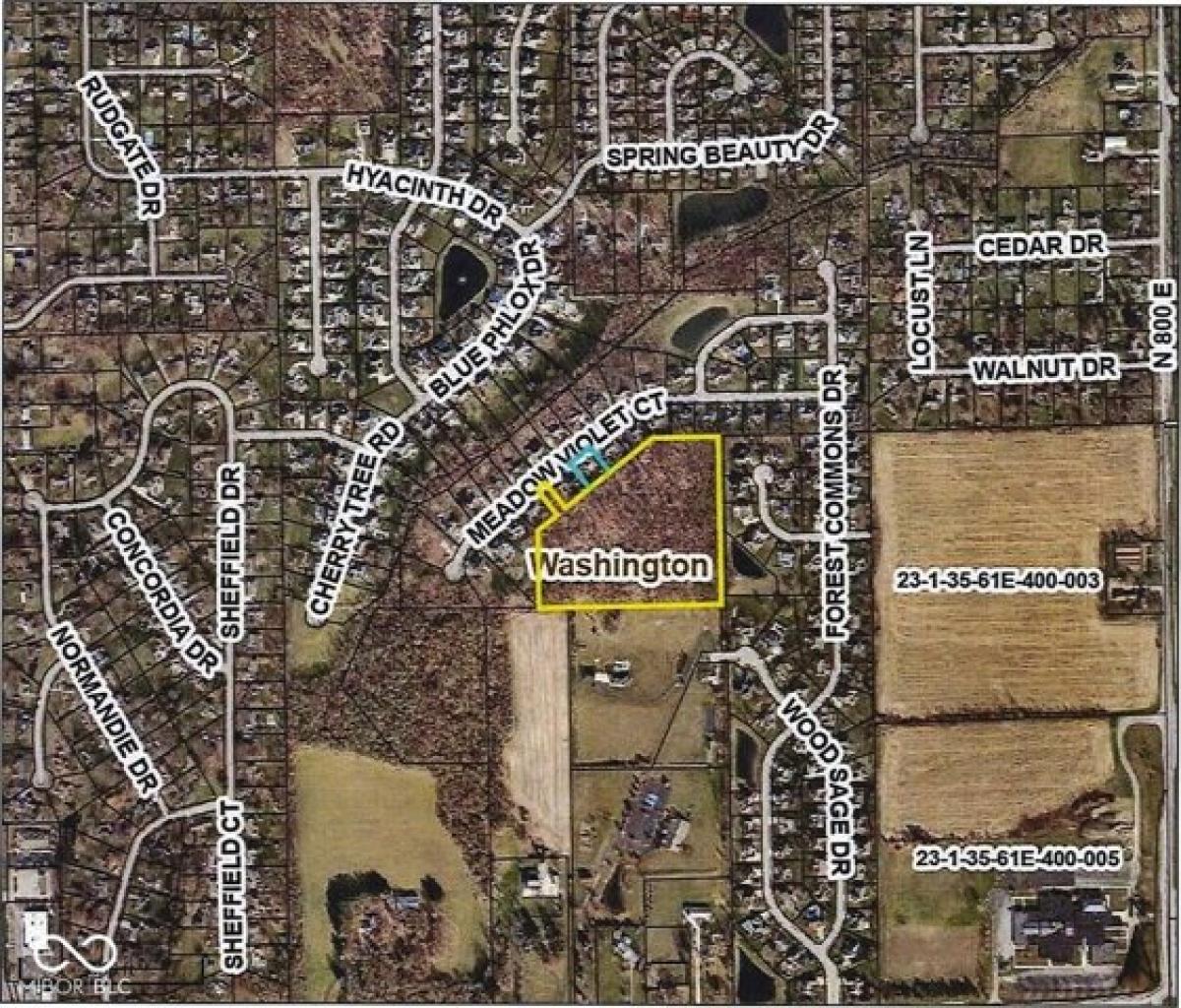 Picture of Residential Land For Sale in Avon, Indiana, United States