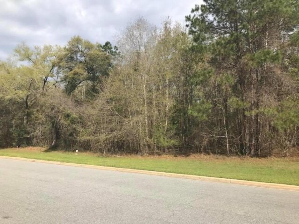 Picture of Residential Land For Sale in Albany, Georgia, United States