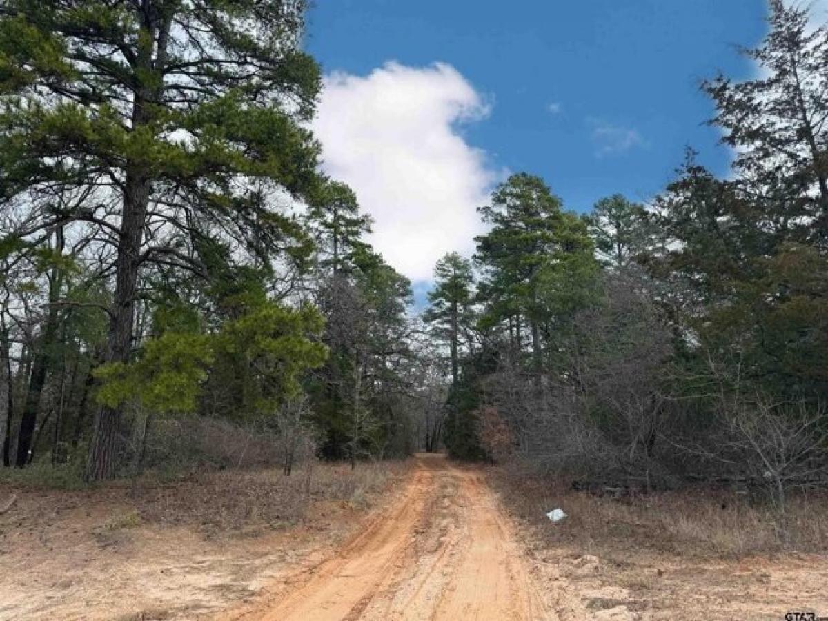 Picture of Residential Land For Rent in Scroggins, Texas, United States