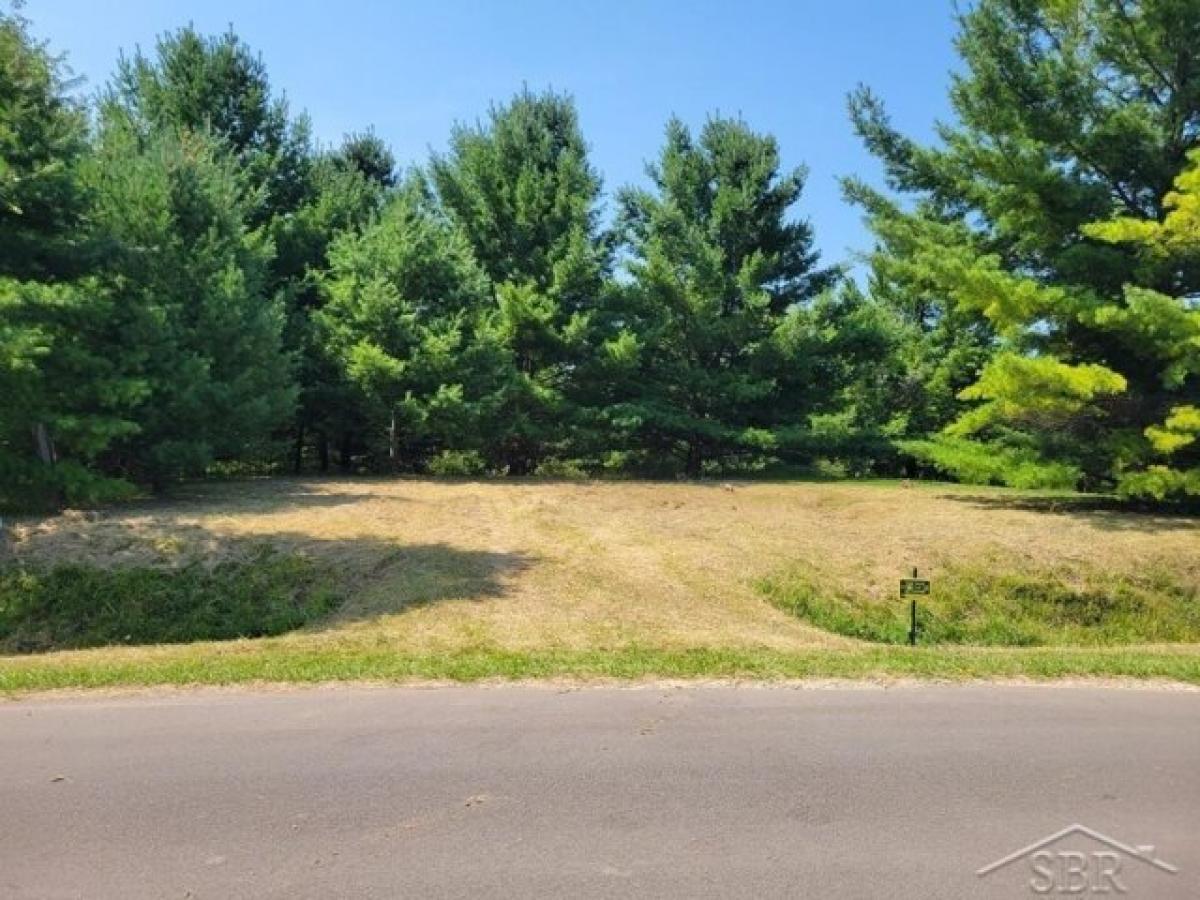 Picture of Residential Land For Rent in Gladwin, Michigan, United States