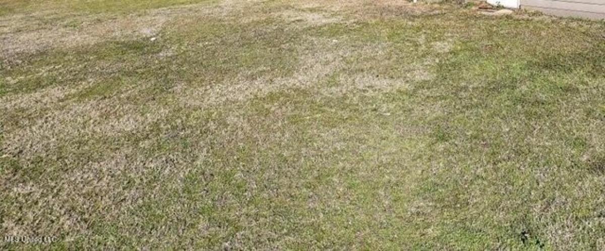 Picture of Residential Land For Rent in Yazoo City, Mississippi, United States