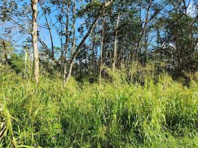 Residential Land For Rent in Pahoa, Hawaii