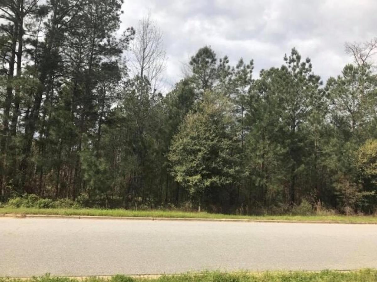 Picture of Residential Land For Sale in Albany, Georgia, United States