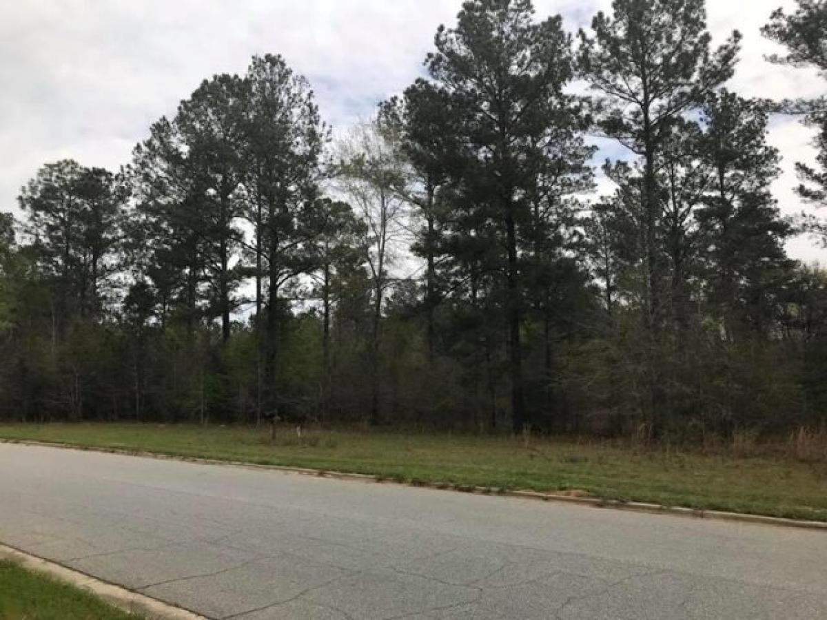 Picture of Residential Land For Sale in Albany, Georgia, United States