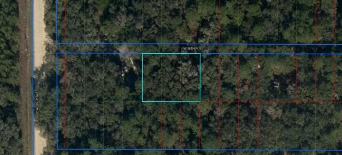 Picture of Residential Land For Rent in Chiefland, Florida, United States