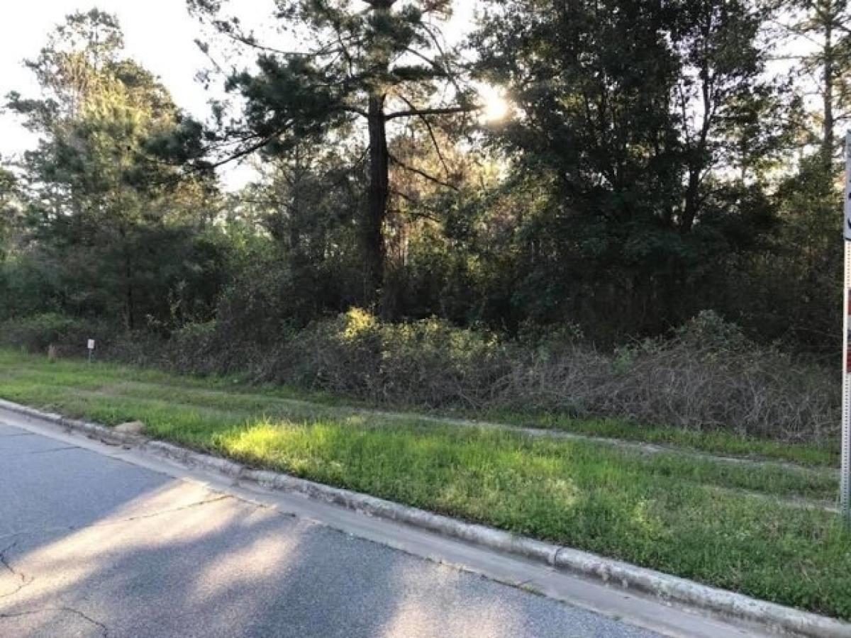 Picture of Residential Land For Sale in Albany, Georgia, United States