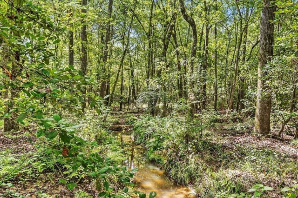 Picture of Home For Sale in Frankston, Texas, United States