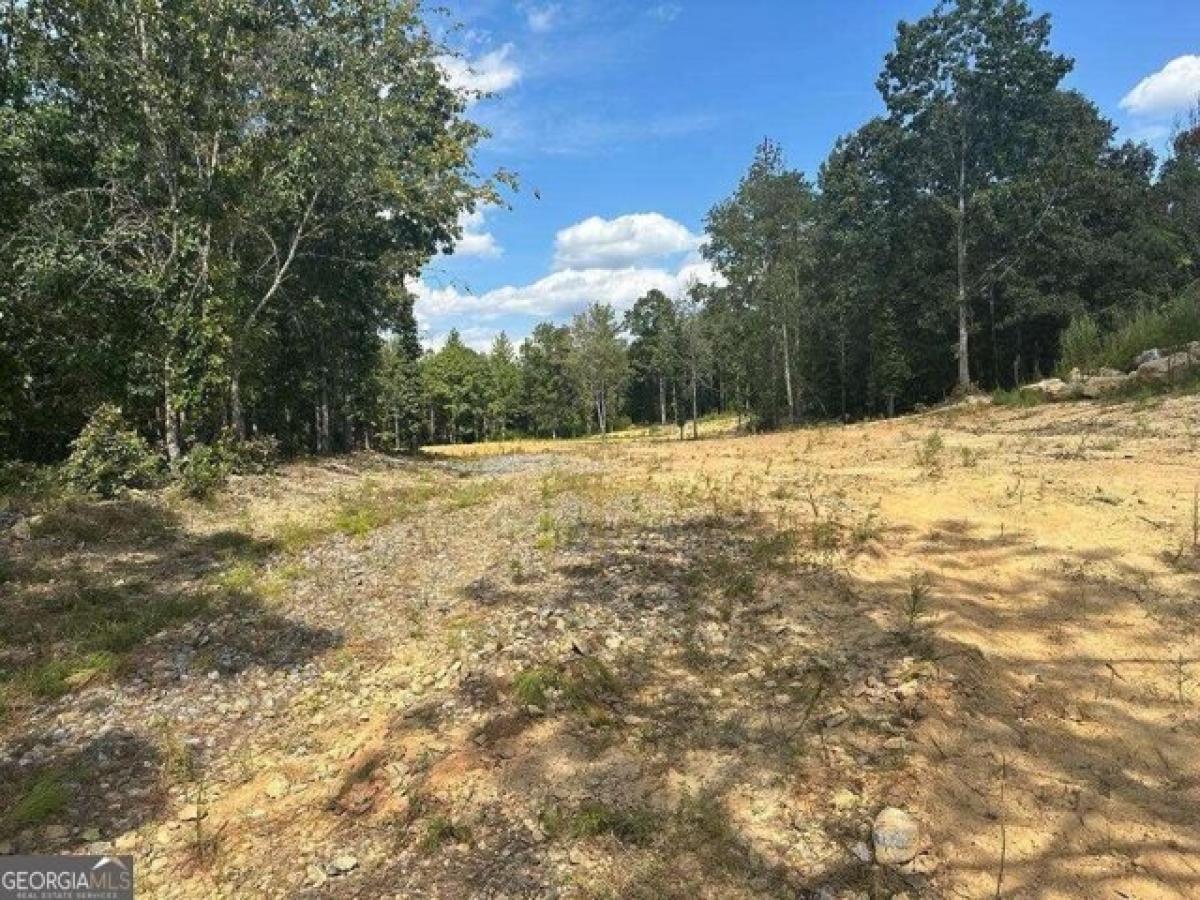 Picture of Residential Land For Sale in Rome, Georgia, United States