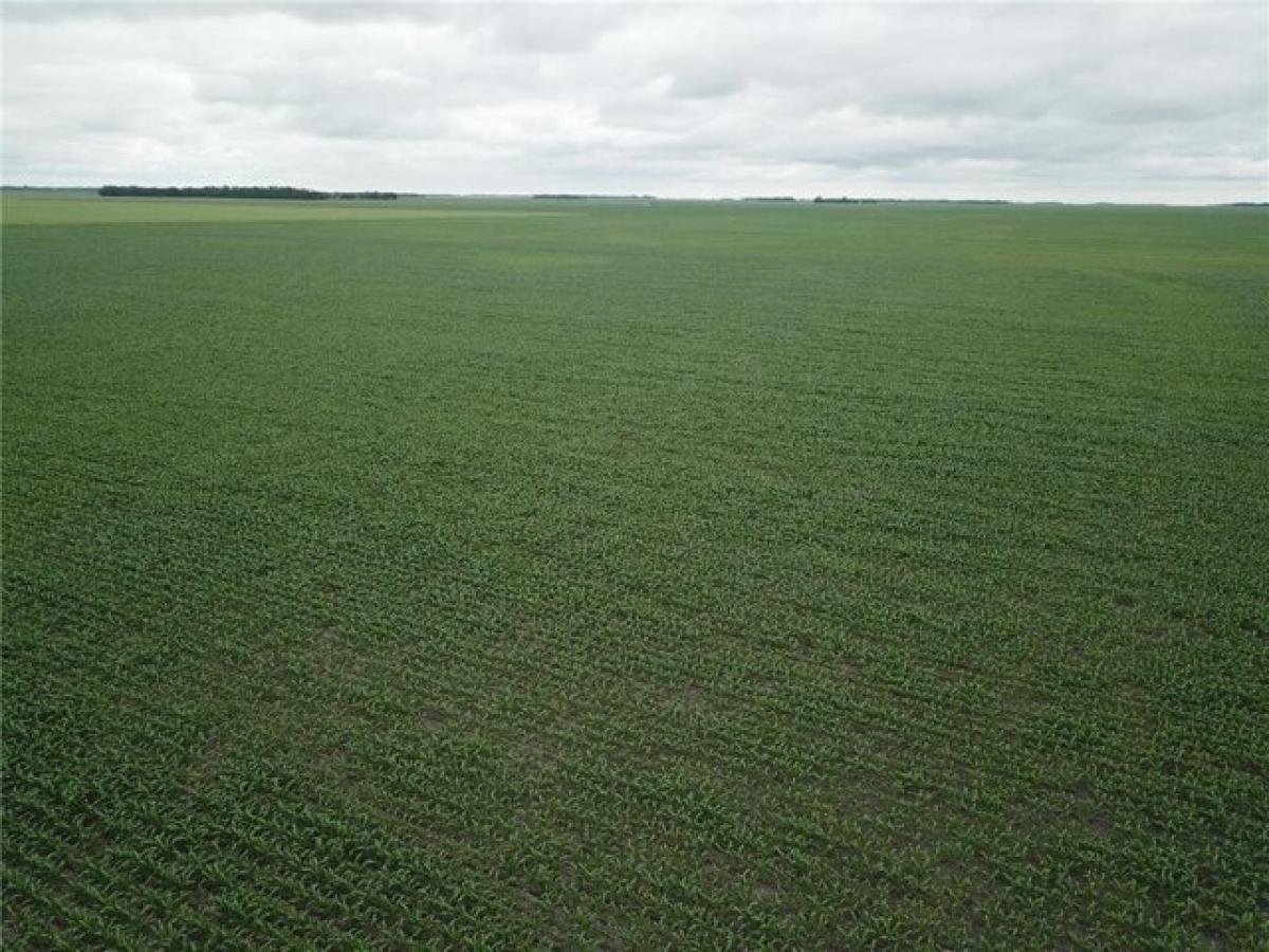 Picture of Residential Land For Rent in Wahpeton, North Dakota, United States