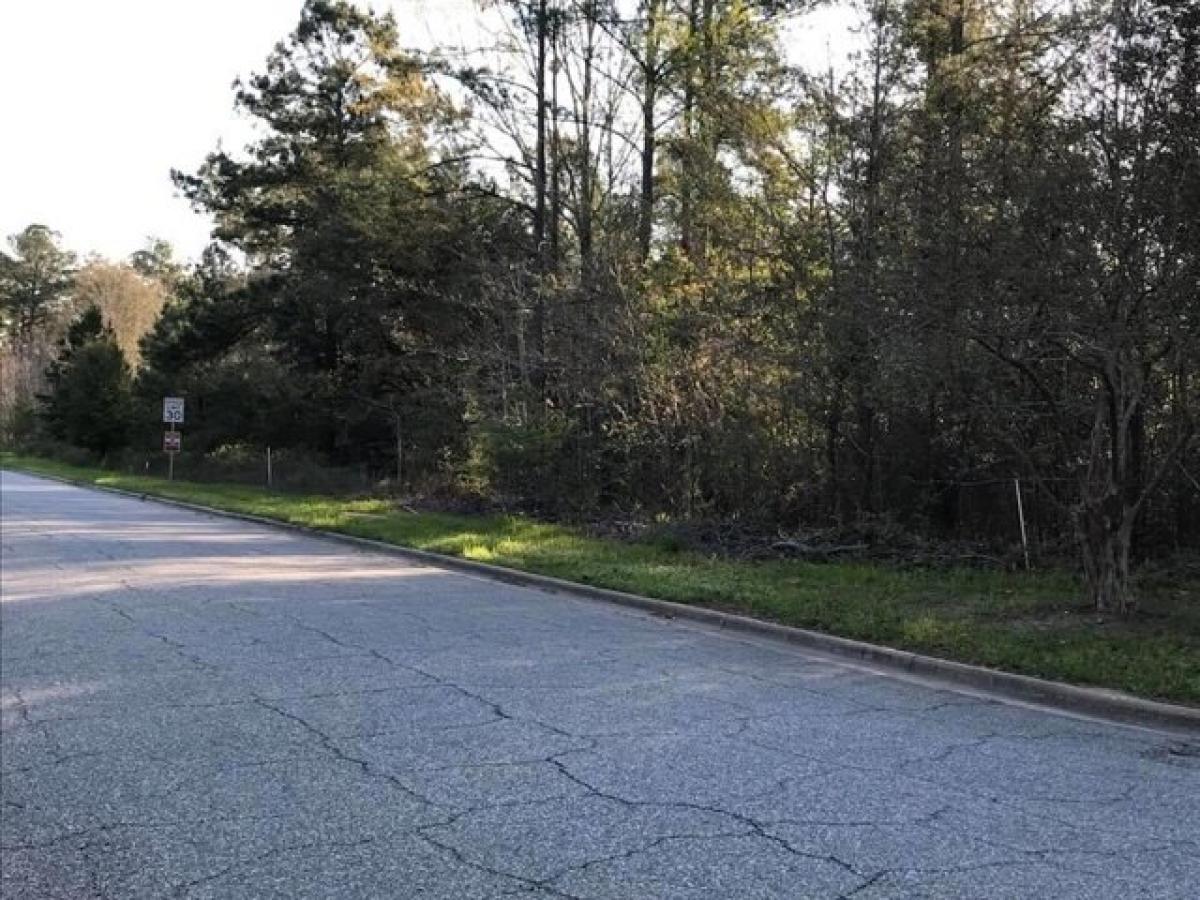 Picture of Residential Land For Sale in Albany, Georgia, United States