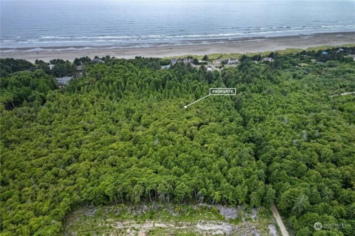 Picture of Residential Land For Rent in Moclips, Washington, United States