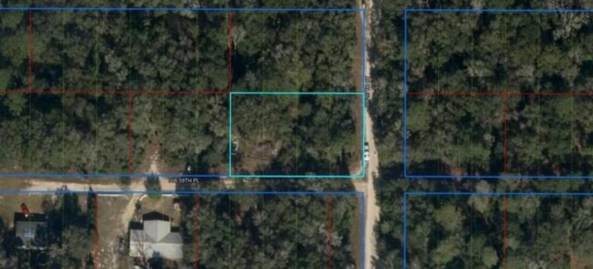 Picture of Residential Land For Rent in Chiefland, Florida, United States
