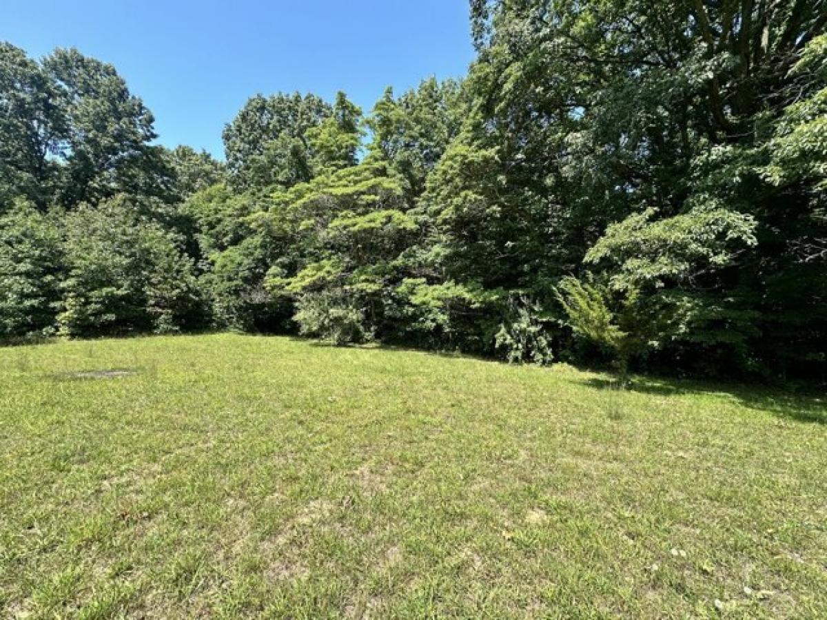 Picture of Residential Land For Sale in Benton Harbor, Michigan, United States