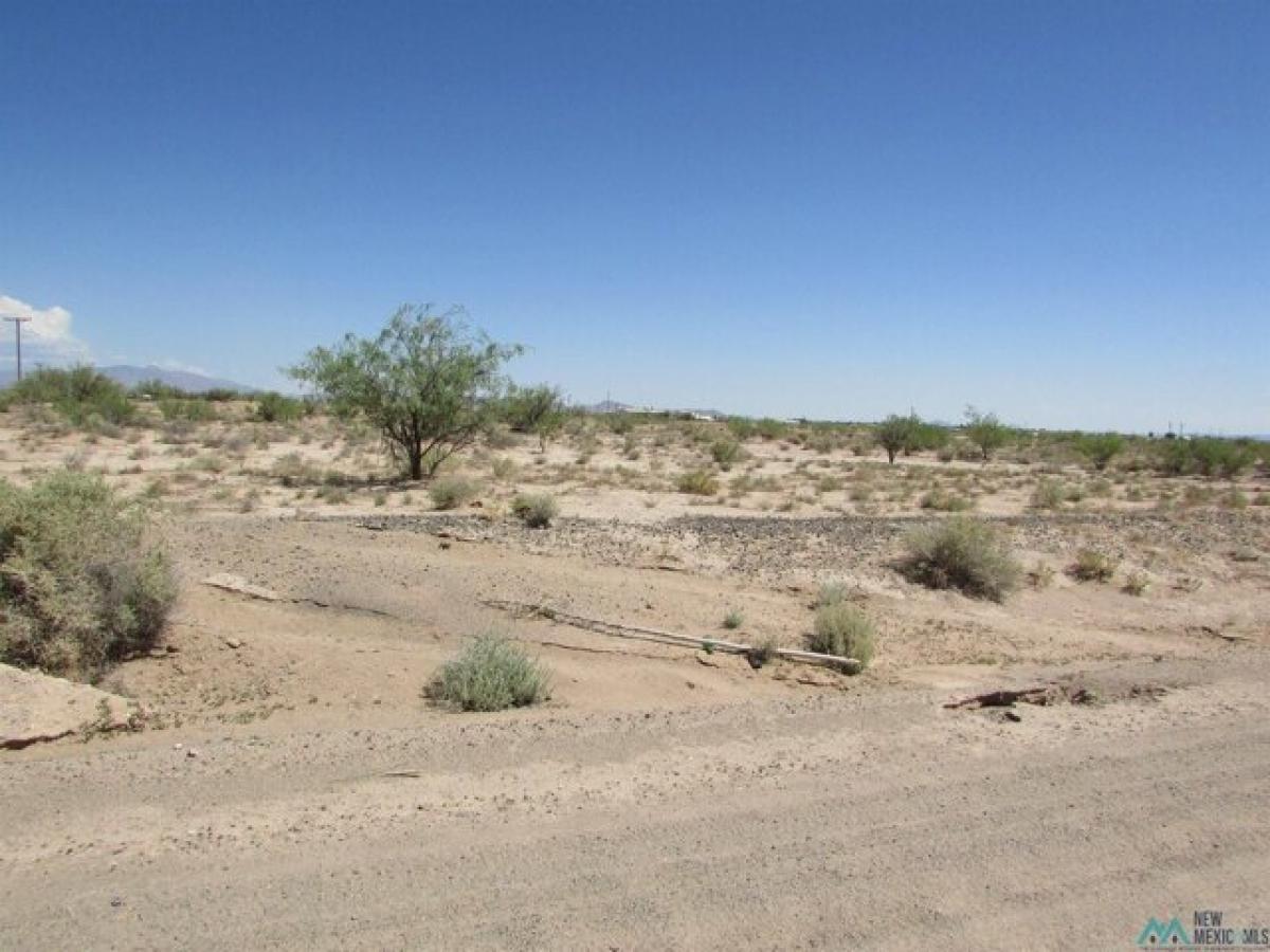 Picture of Residential Land For Rent in Deming, New Mexico, United States