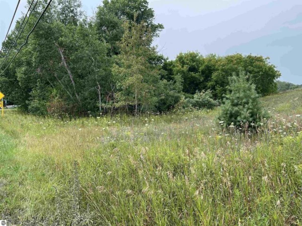 Picture of Residential Land For Sale in Central Lake, Michigan, United States
