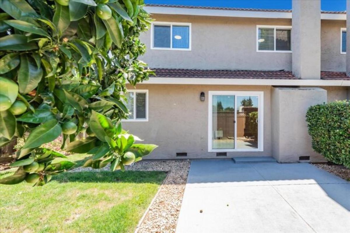 Picture of Home For Rent in Mountain View, California, United States