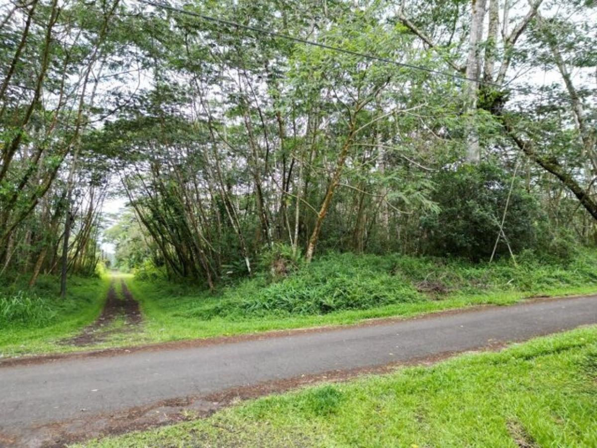 Picture of Residential Land For Rent in Pahoa, Hawaii, United States