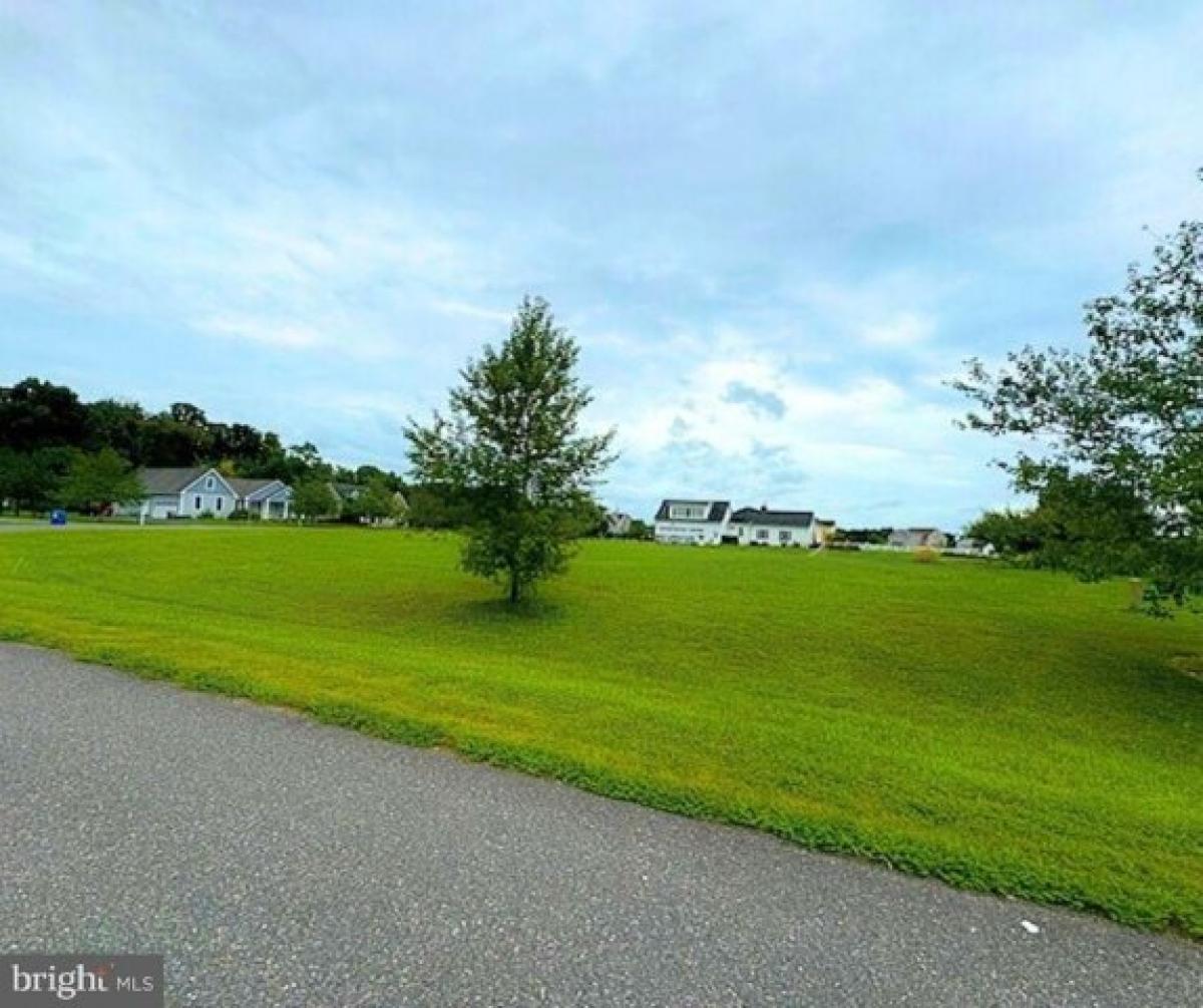 Picture of Residential Land For Sale in Galena, Maryland, United States