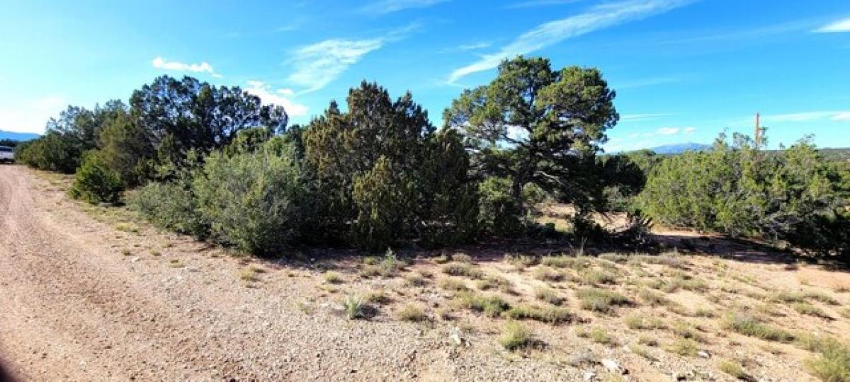 Picture of Residential Land For Sale in Walsenburg, Colorado, United States