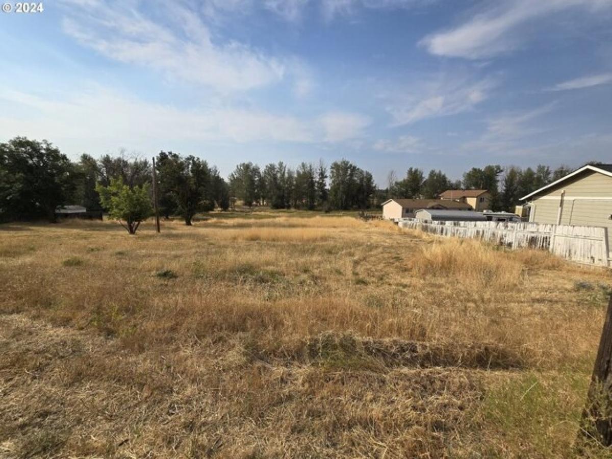 Picture of Residential Land For Sale in Goldendale, Washington, United States
