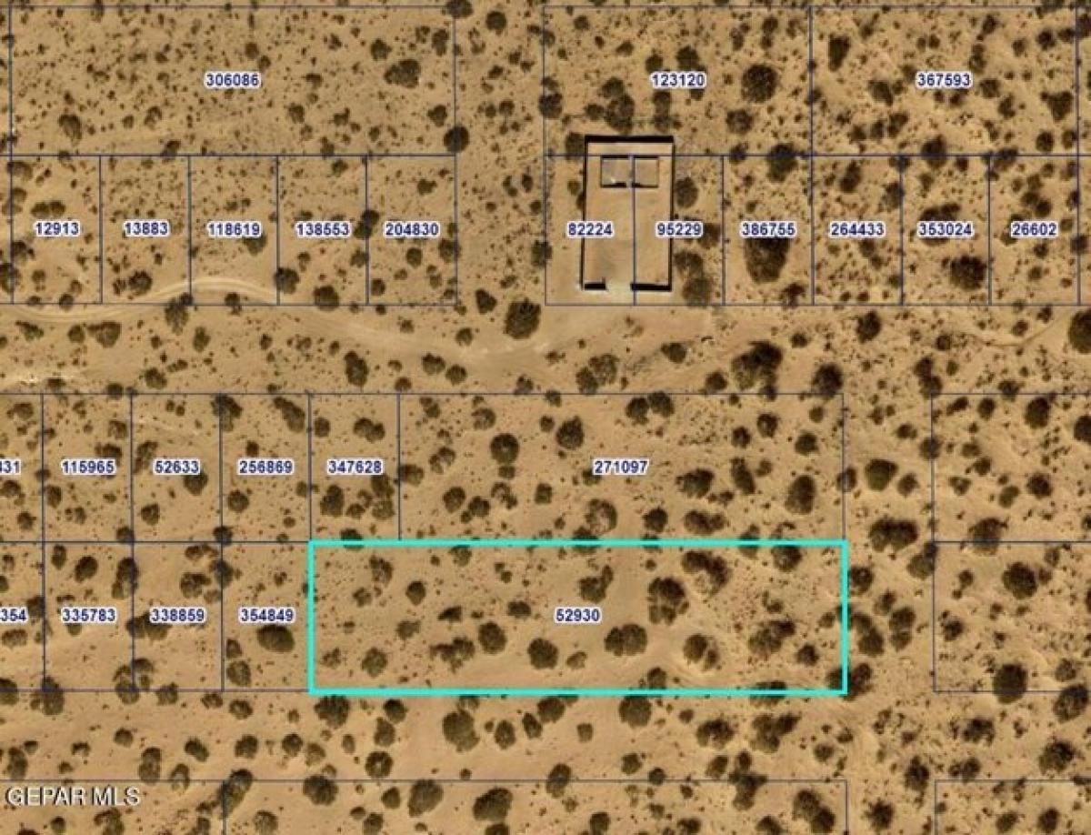 Picture of Residential Land For Rent in El Paso, Texas, United States