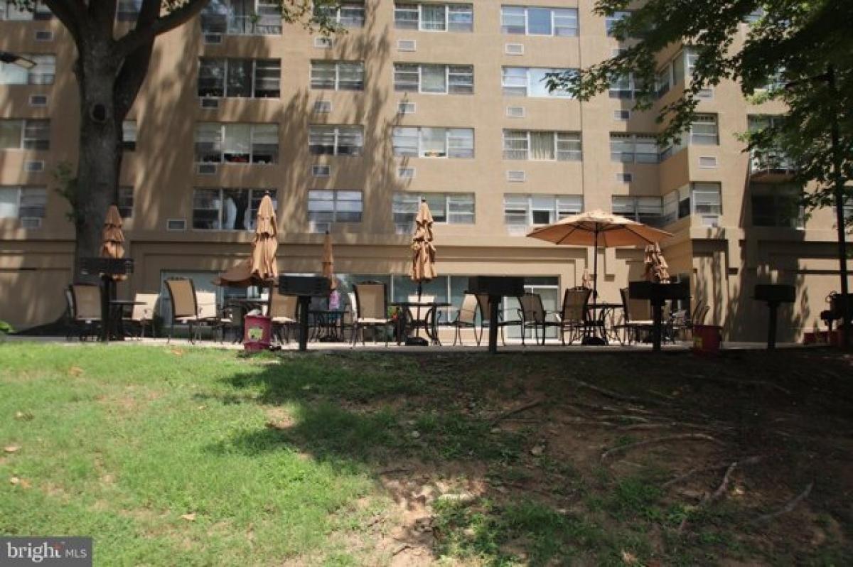 Picture of Apartment For Rent in Bryn Mawr, Pennsylvania, United States