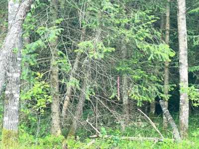 Residential Land For Sale in Conover, Wisconsin