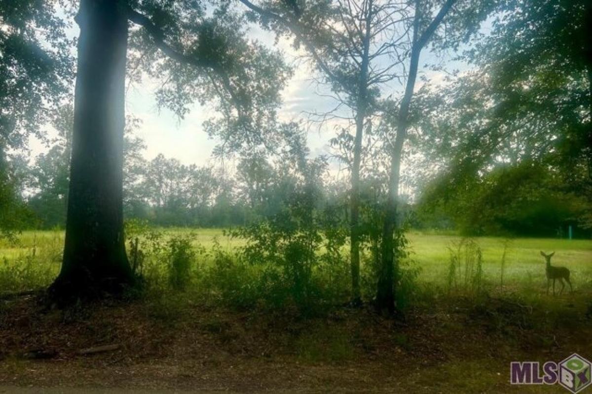 Picture of Residential Land For Sale in Amite, Louisiana, United States