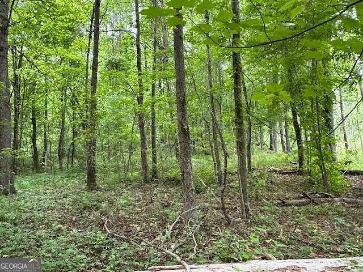 Picture of Residential Land For Sale in Dallas, Georgia, United States