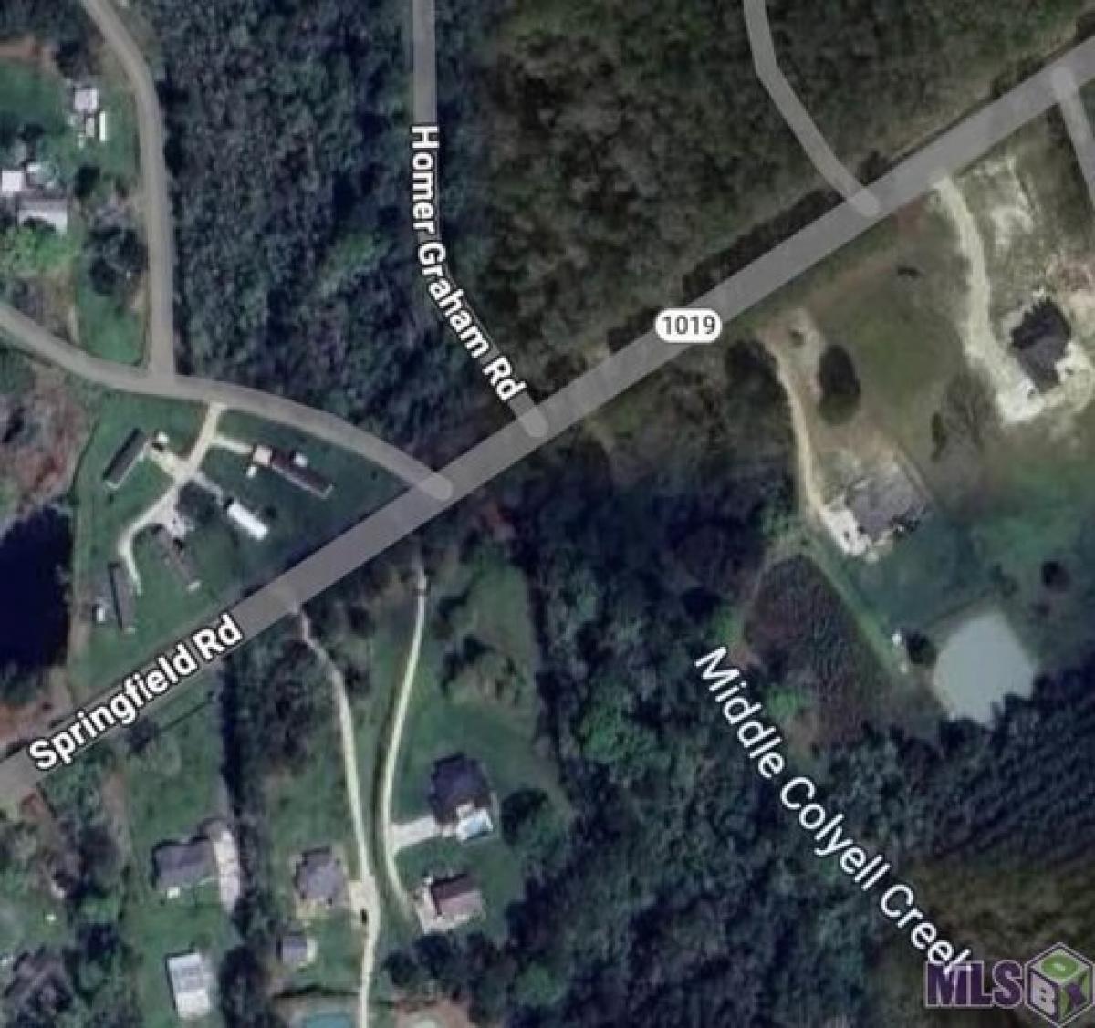 Picture of Residential Land For Sale in Walker, Louisiana, United States