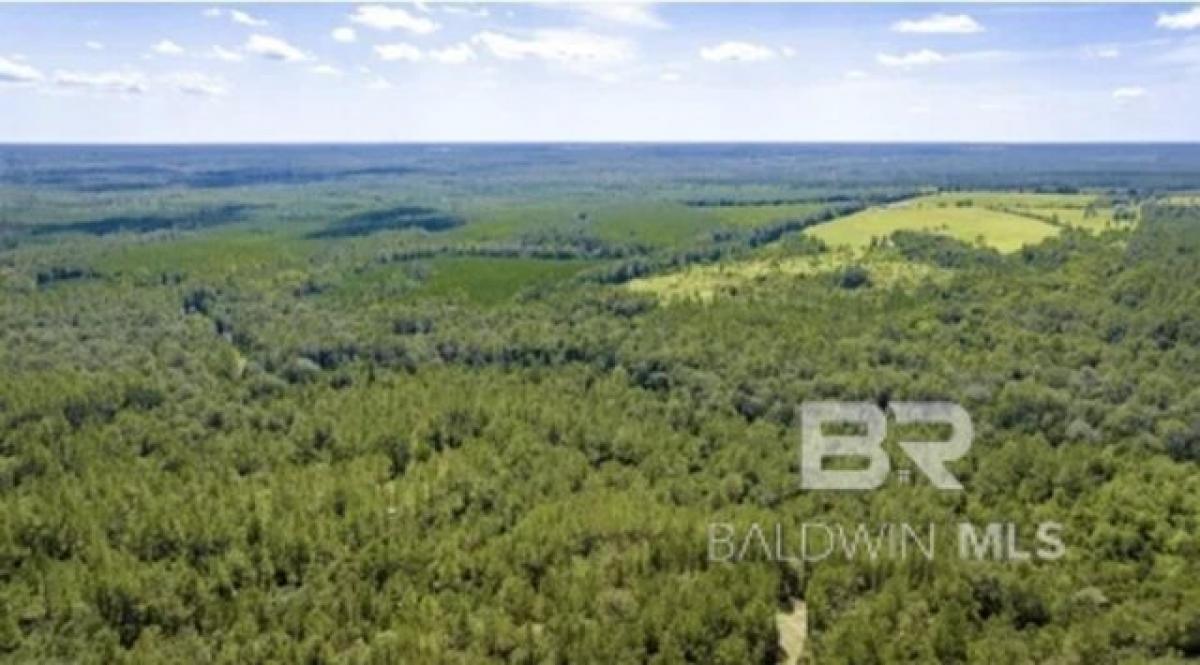 Picture of Residential Land For Sale in Loxley, Alabama, United States
