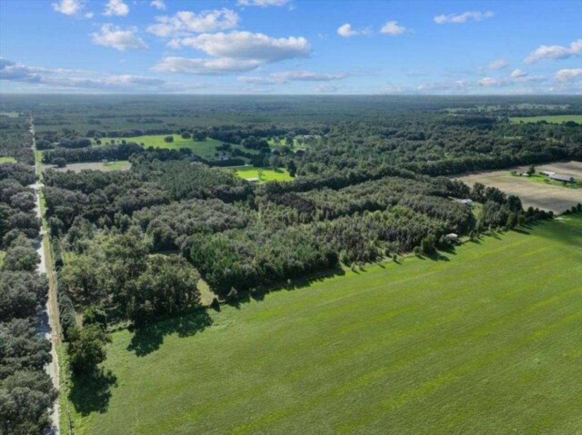 Picture of Residential Land For Rent in Trenton, Florida, United States