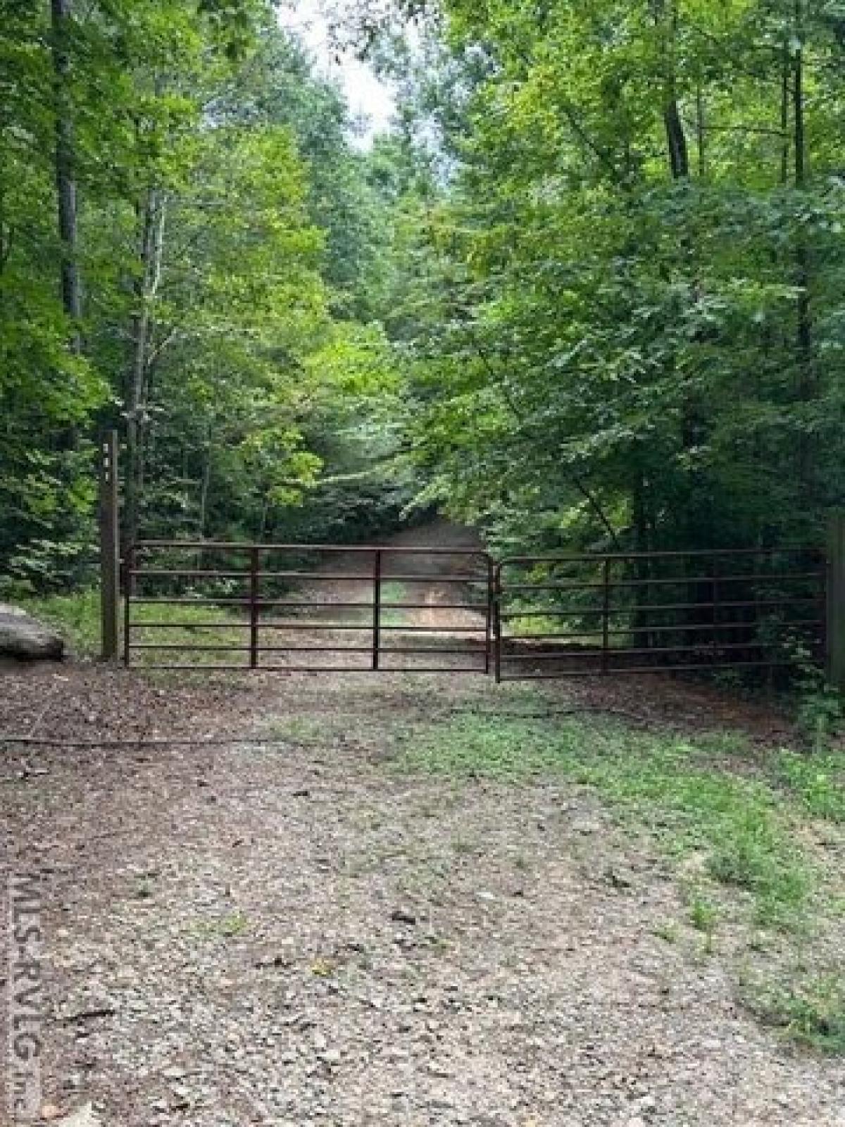 Picture of Residential Land For Rent in Warrenton, North Carolina, United States