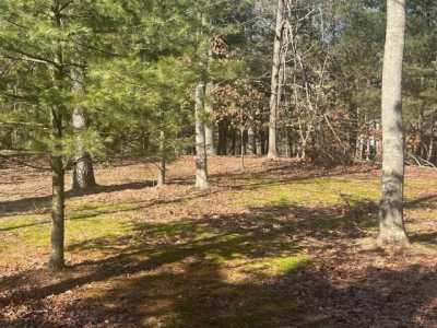 Residential Land For Sale in Hesperia, Michigan