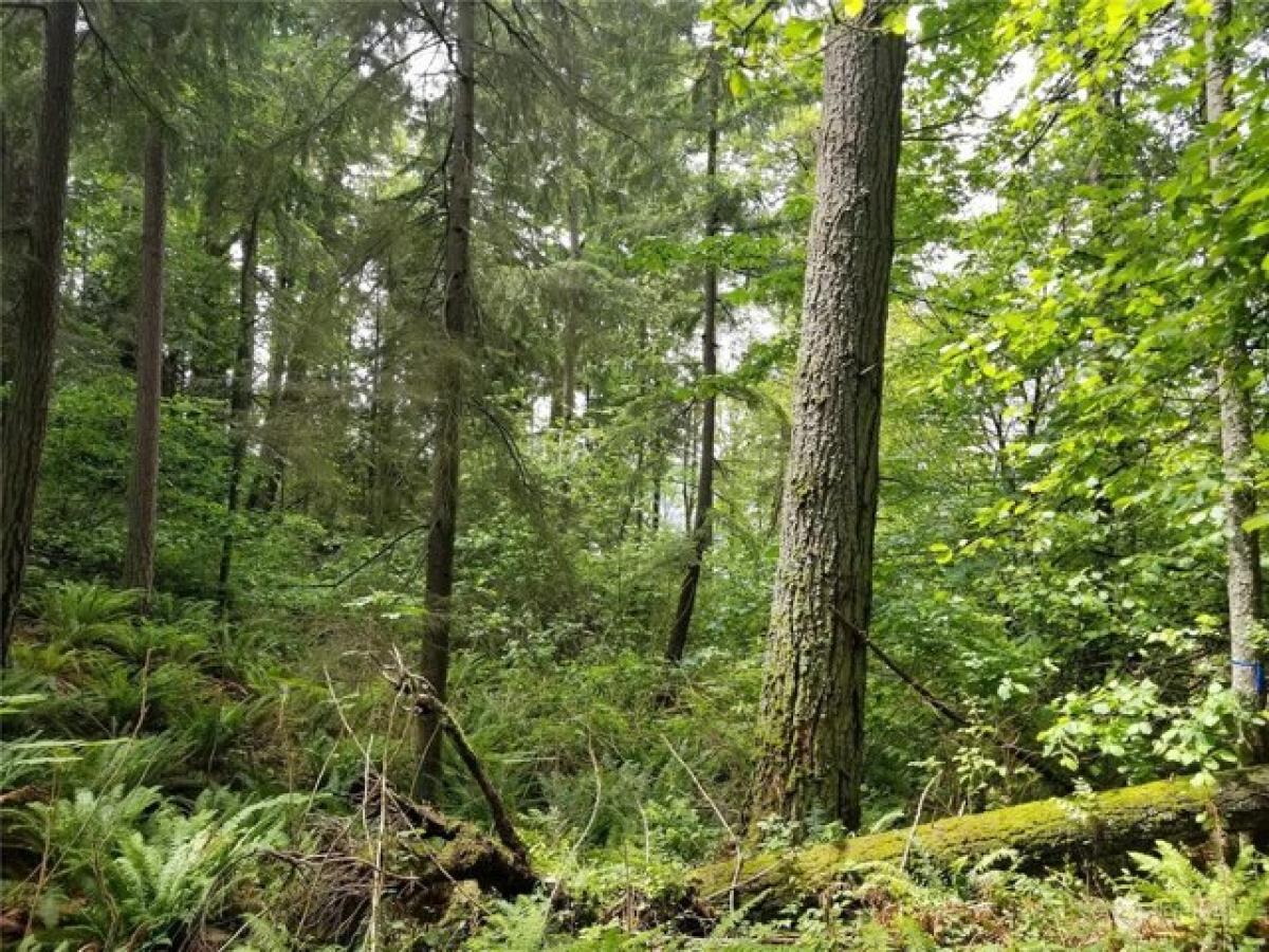 Picture of Residential Land For Sale in Sammamish, Washington, United States