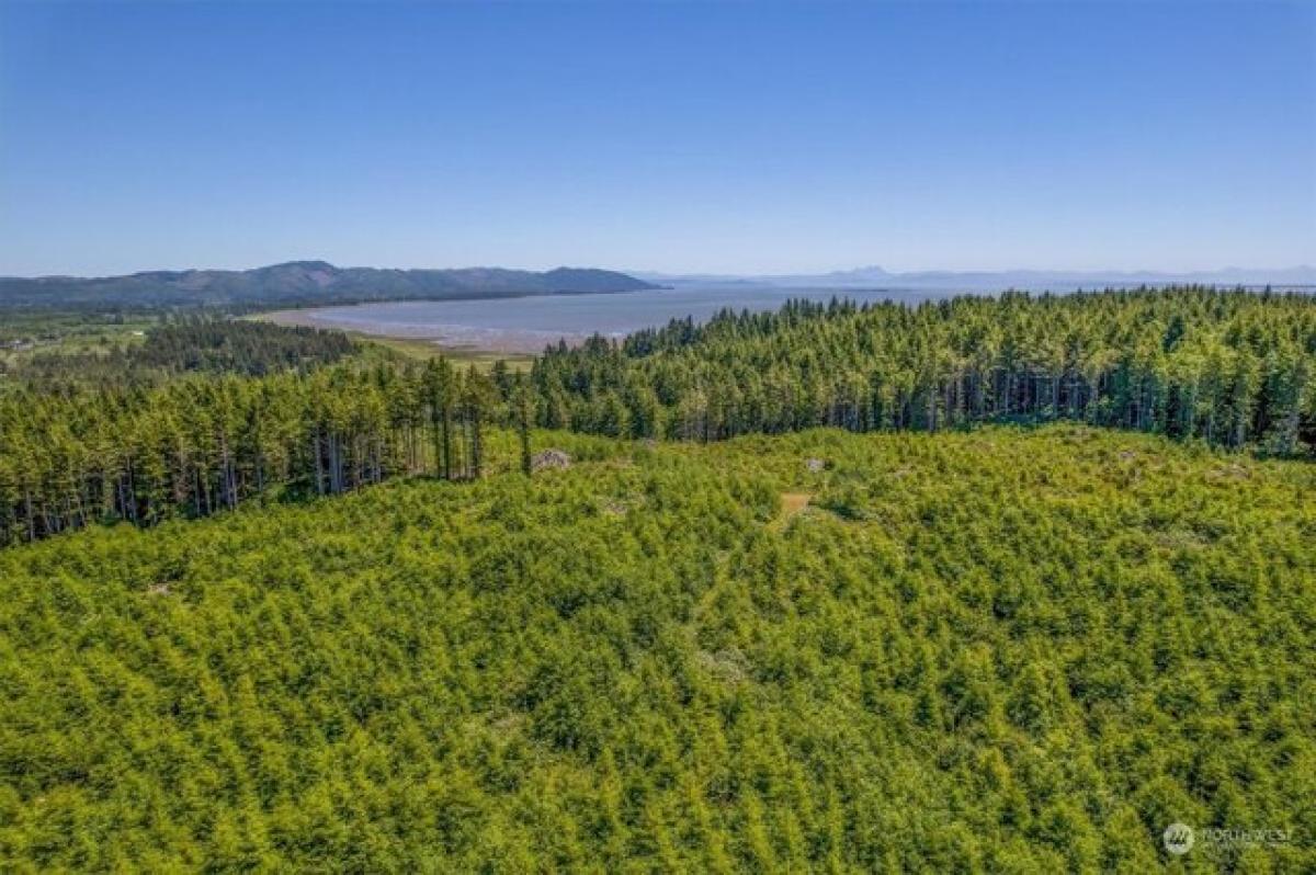 Picture of Residential Land For Sale in Ilwaco, Washington, United States