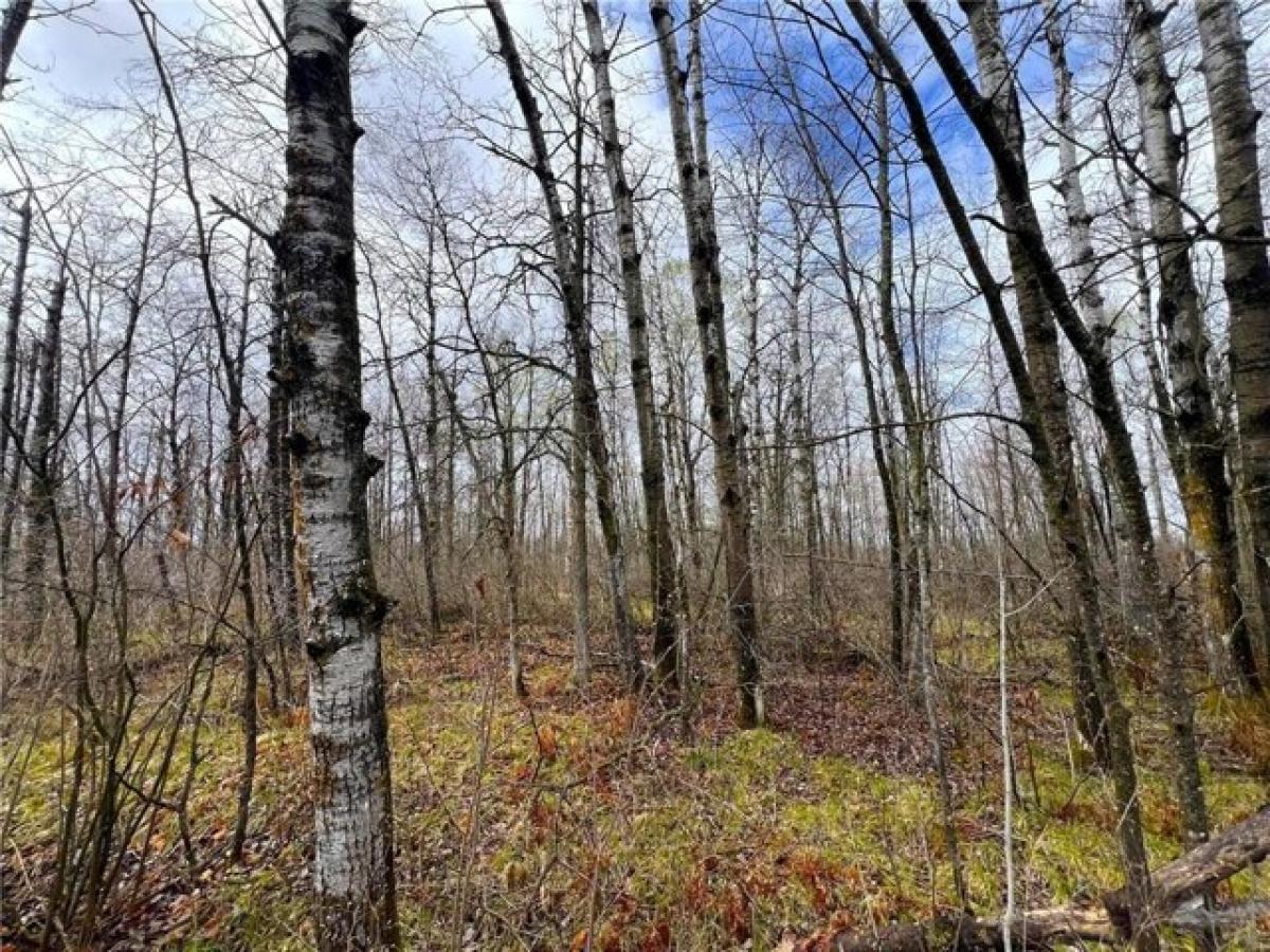 Picture of Residential Land For Sale in Sandstone, Minnesota, United States