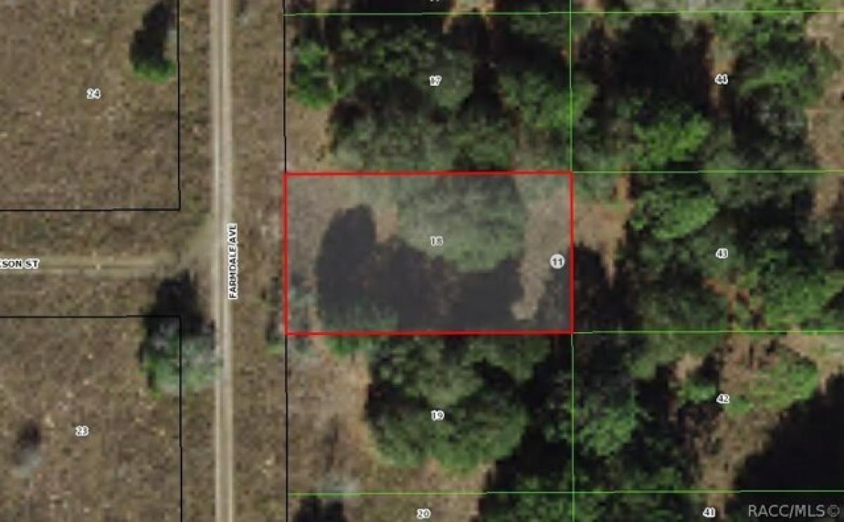 Picture of Residential Land For Rent in Inverness, Florida, United States