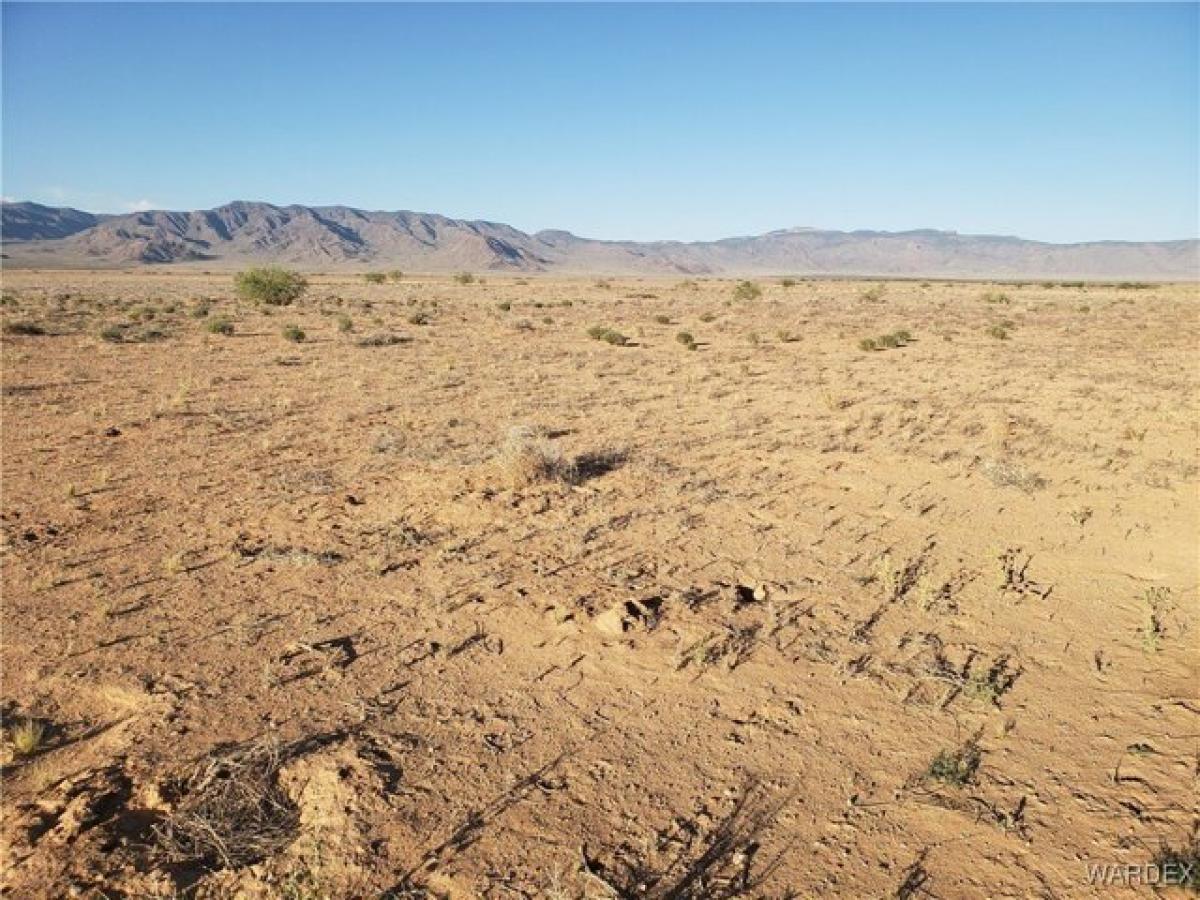 Picture of Residential Land For Rent in Kingman, Arizona, United States