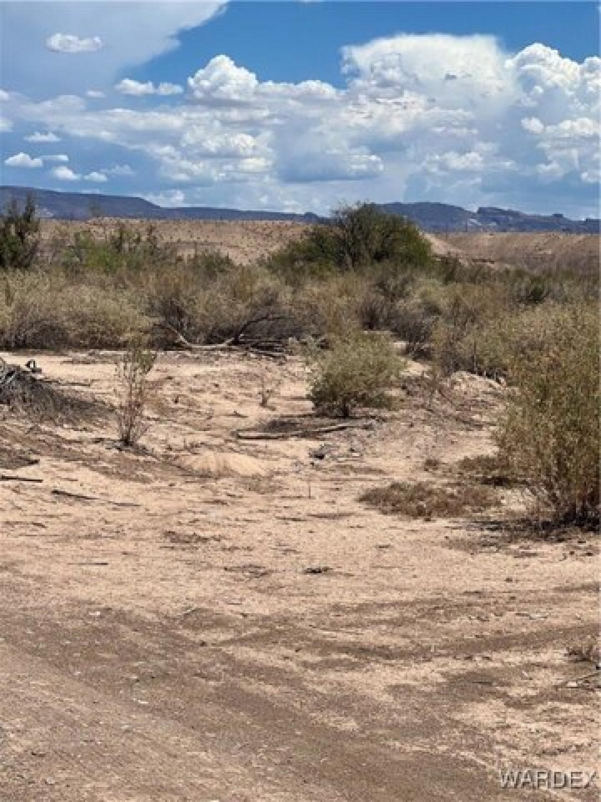 Picture of Residential Land For Rent in Mohave Valley, Arizona, United States
