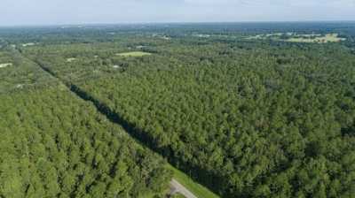 Residential Land For Sale in Alachua, Florida