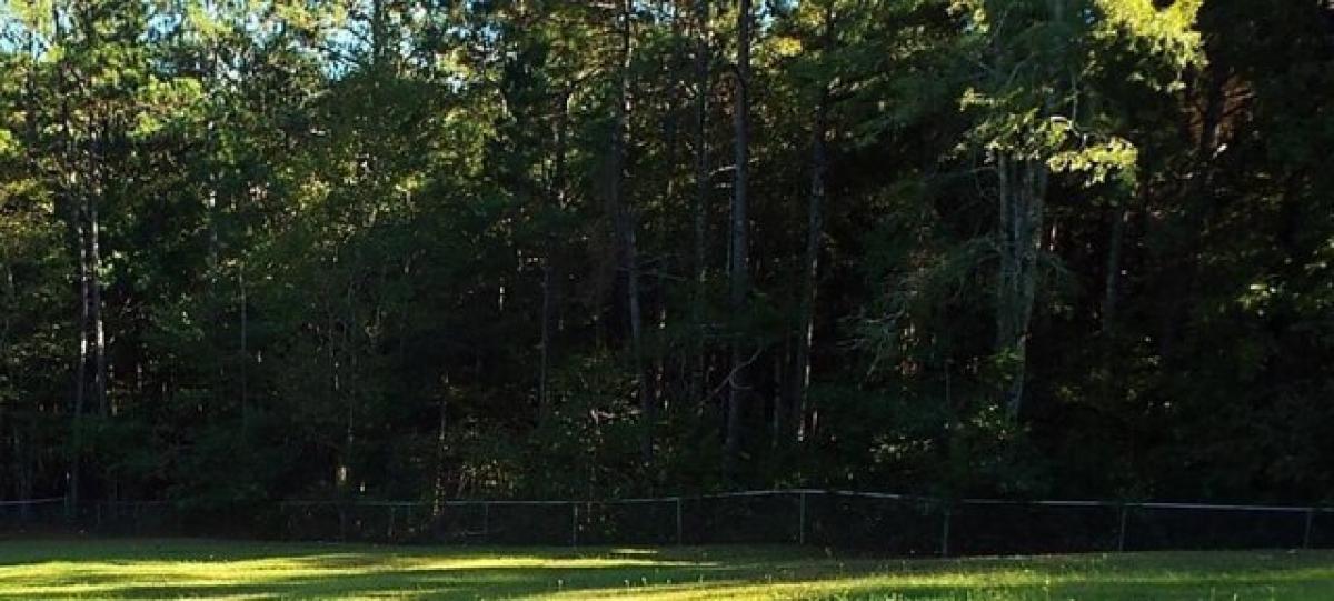 Picture of Residential Land For Sale in Dallas, Georgia, United States