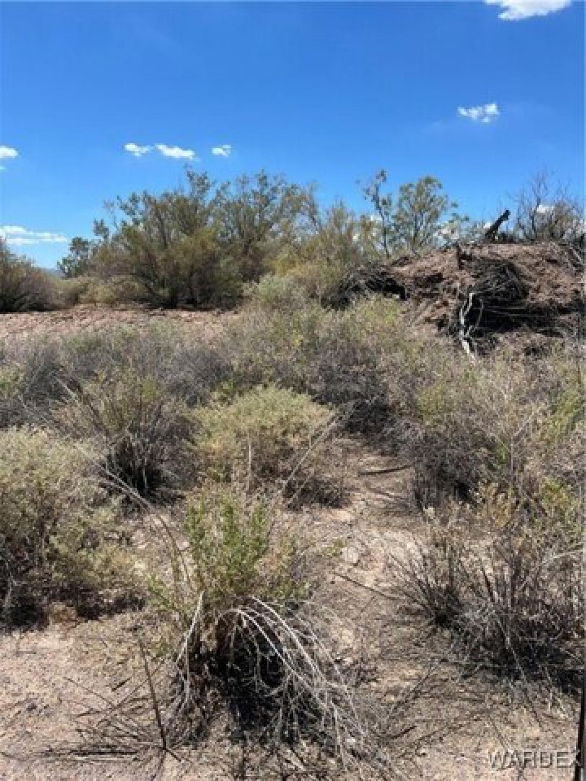 Picture of Residential Land For Rent in Mohave Valley, Arizona, United States