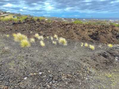 Residential Land For Sale in Captain Cook, Hawaii