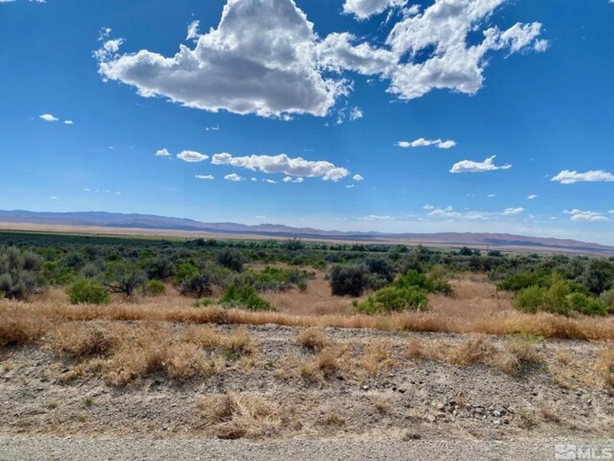 Picture of Residential Land For Rent in Lovelock, Nevada, United States