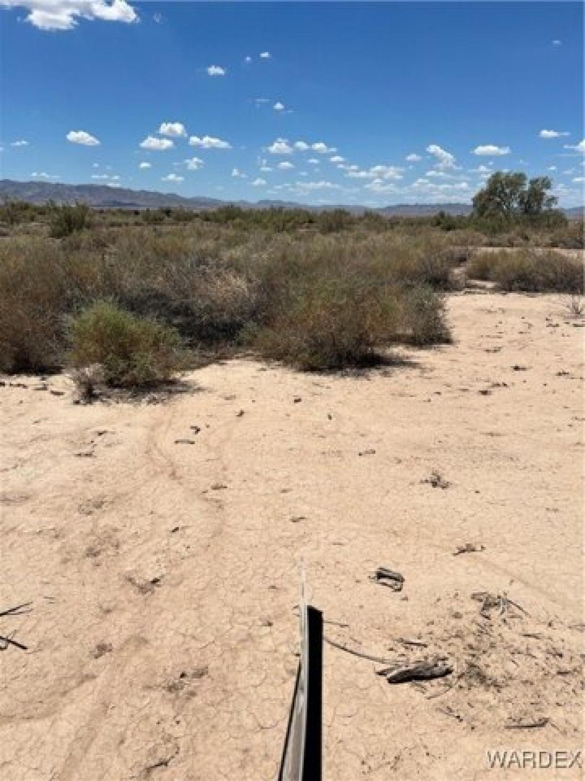 Picture of Residential Land For Rent in Mohave Valley, Arizona, United States